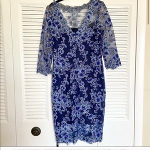 Beautiful Tadashi Soshi Dress.